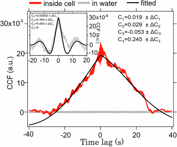 Fig. 7: Comparison of CCF for a PBB inside a cell (in red) and a bead trapped in passive medium (water) shown in grey.