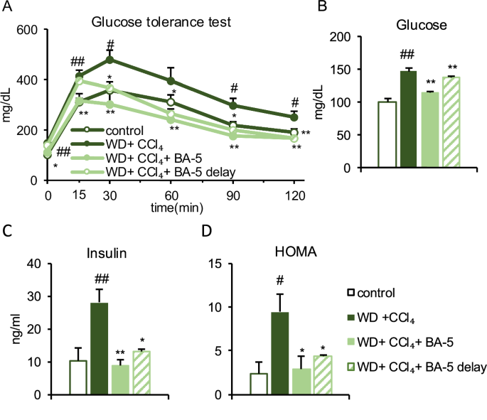 Fig. 4: Intraperitoneal glucose tolerance test (IPGTT) and insulin concentration of mice.