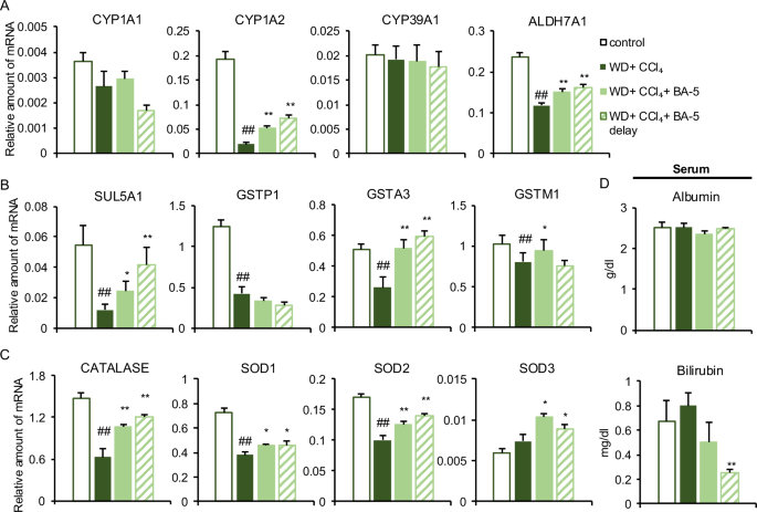 Fig. 5: Effects of BA-5 treatment on hepatic detoxification and antioxidant gene expressions in WD + CCl4 treated mice.