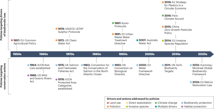 Successes and failures of conservation actions to halt global river biodiversity loss