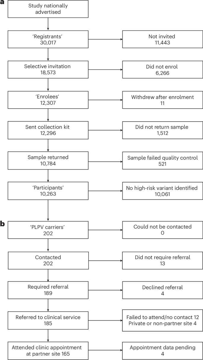 Fig. 1: Overview of the DNA Screen process.