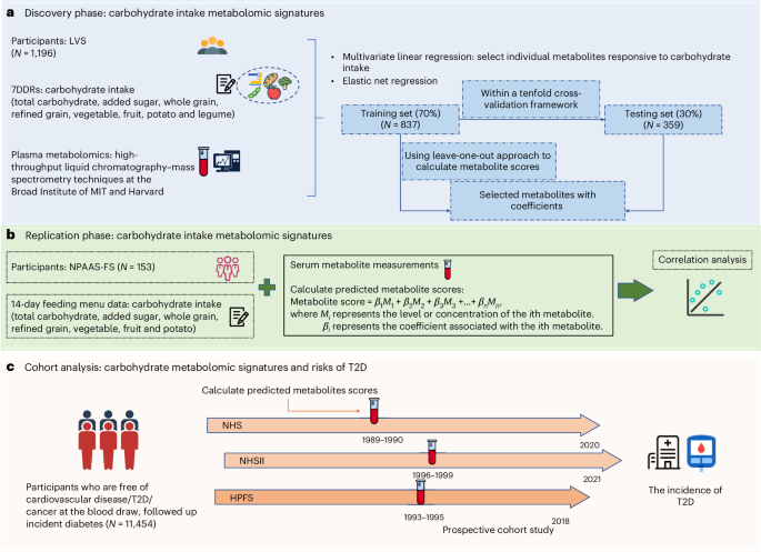 Fig. 1: Overview of the study design.
