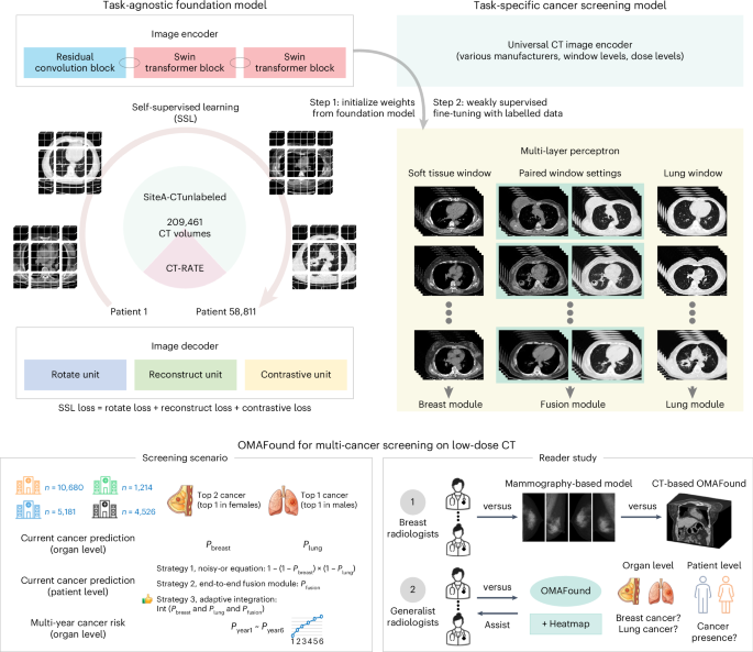 Fig. 1: The overall study design of OMAFound for multi-cancer screening.