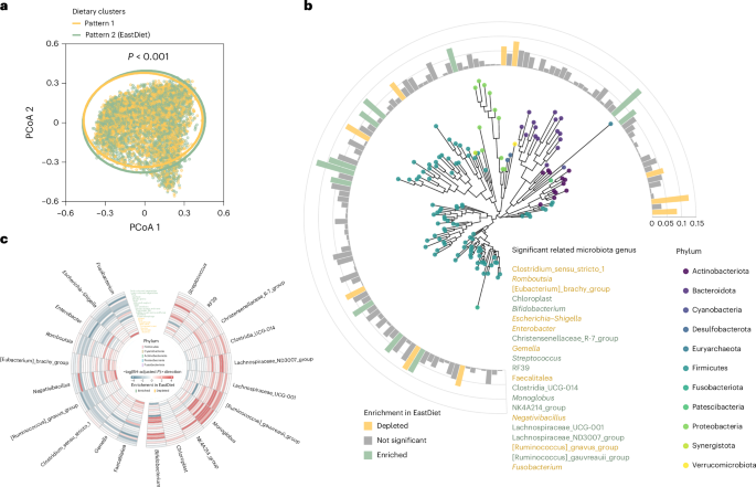 Fig. 4: Association between the EastDiet and gut microbiota.