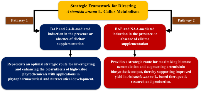 Fig. 10: A proposed strategic framework for redirecting callus metabolism in Artemisia annua L.