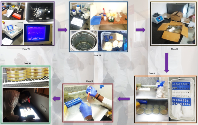 Fig. 13: Workflow for measuring ascorbate antioxidant activity, media preparation, autoclaving, well-diffusion assay, and zone of inhibition documentation.