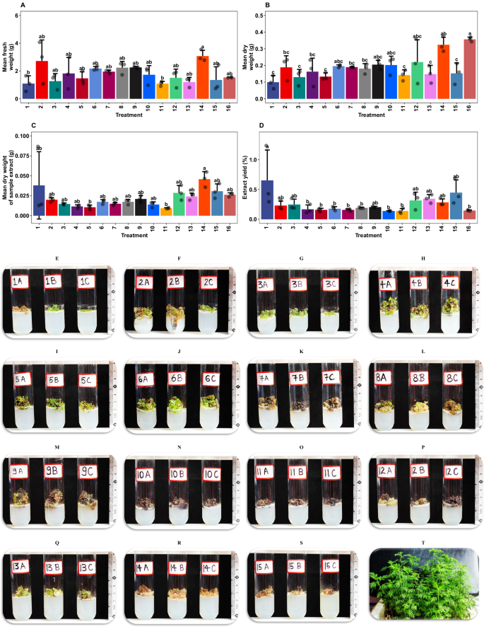 Fig. 4: Effects of plant growth regulators (PGRs) and AgNO₃ elicitation on A. annua callus biomass and morphology.