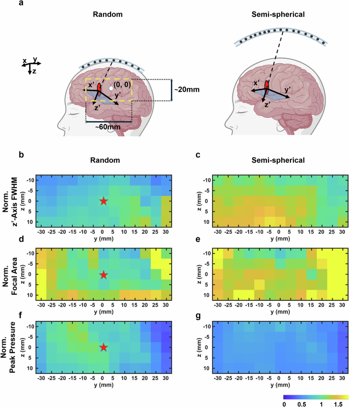Fig. 9: Steering comparison between random-patterned flexible array and semi-spherical array in the y-z plane.