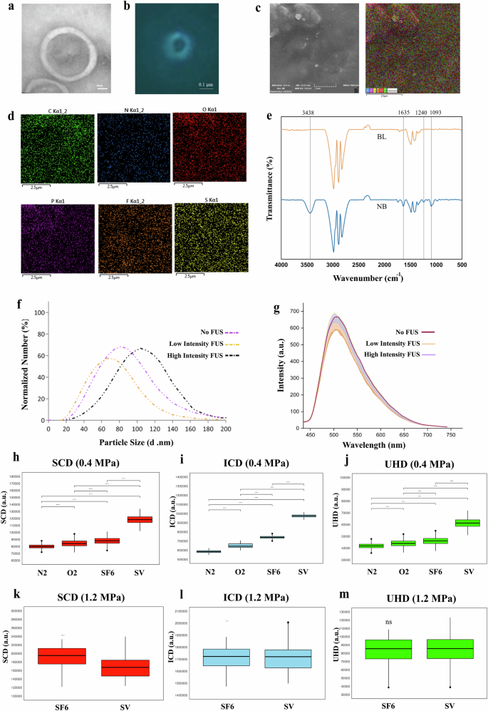 Fig. 1: Characterization of NB-Cur.