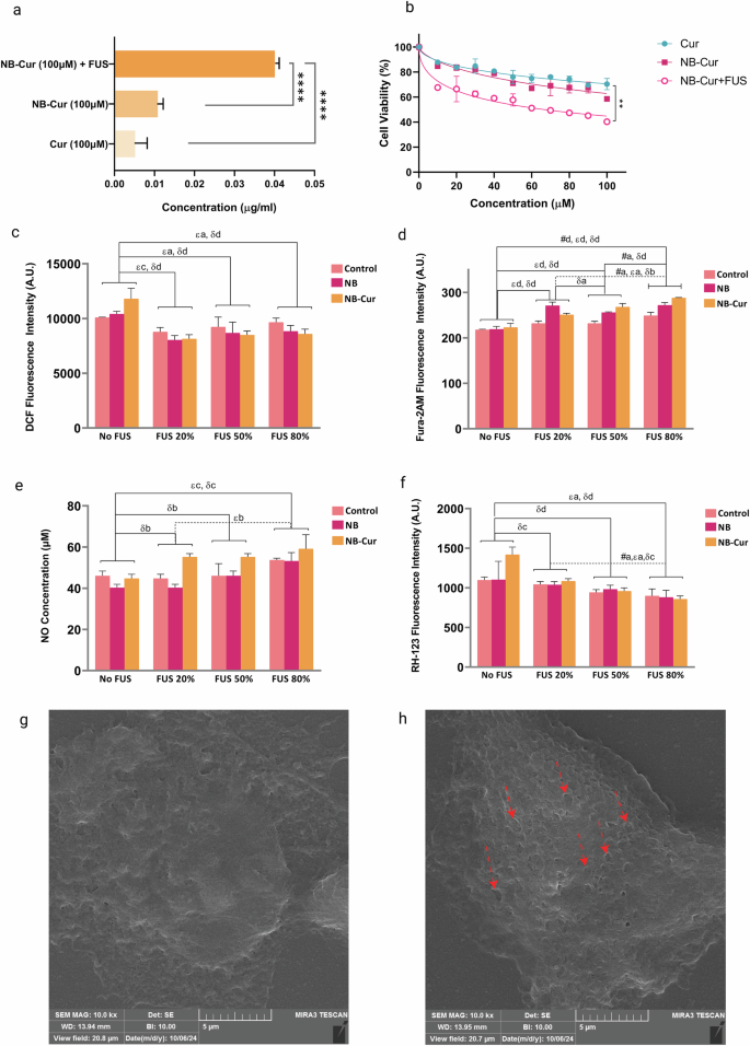 Fig. 2: Effects of curcumin, NBs, and FUS on neuroblastoma cells.