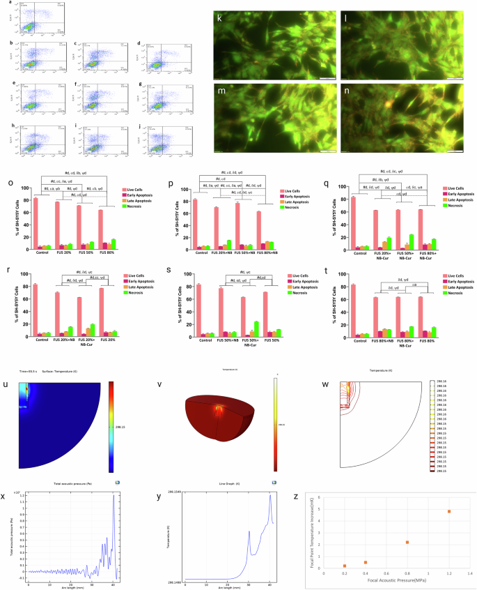 Fig. 3: Investigation of the impact of different FUS intensities on cell NBs viability.