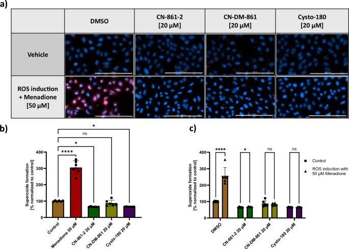 Fig. 2: CYS treatment resulted in a significant reduction of superoxide radical formation.