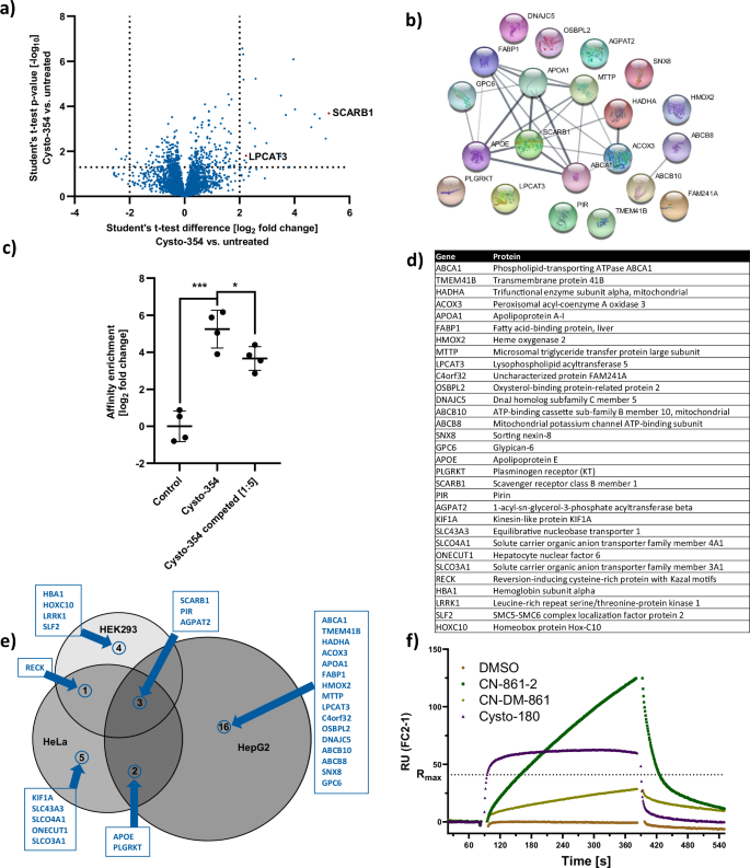 Fig. 5: Molecular off-target identification revealed SCARB1 as primary binding partner of CYS in eukaryotes.
