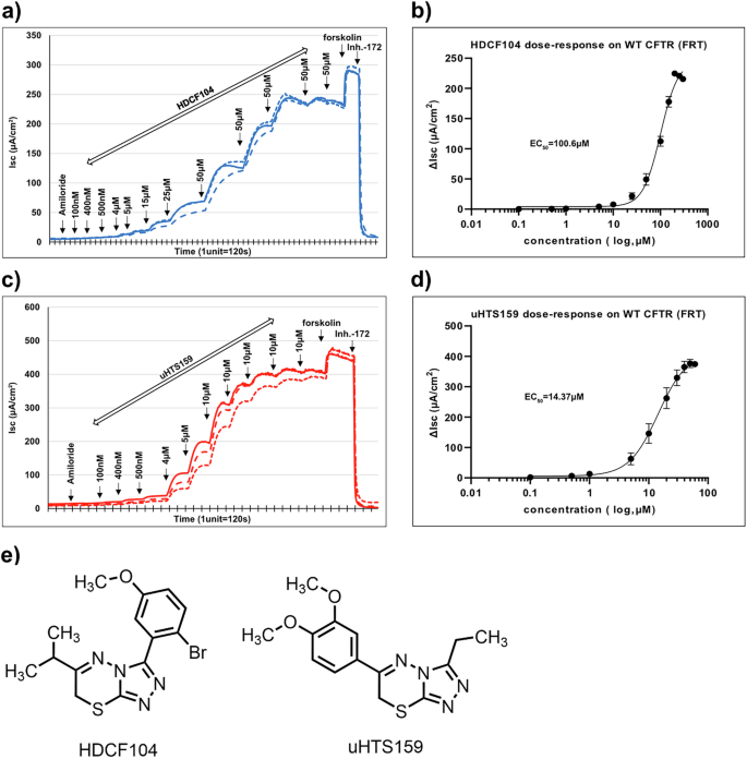 Fig. 1: Dose-dependent activation of wildtype CFTR in FRT cells by two HDCF analogs (HDCF104 and uHTS159).