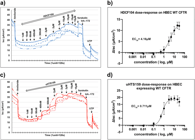 Fig. 2: Dose-dependent activation of wildtype CFTR in primary human bronchial epithelial cells by two HDCF analogs.