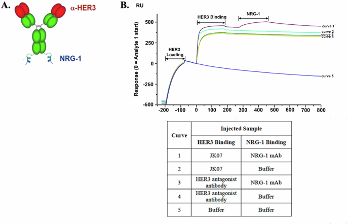 Fig. 1: Structure of JK07.
