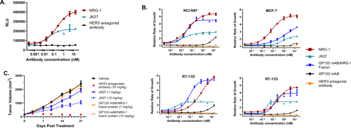 Fig. 2: JK07 HER3 Antagonism Functional Assessment.