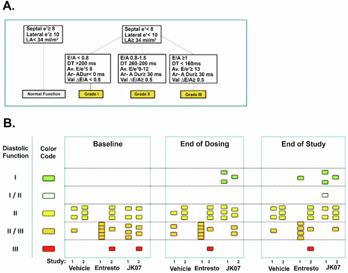 Fig. 6: Evaluation of JK07 in a Rhesus Macaque Model of Heart Failure with Preserved Ejection Fraction.