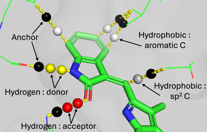 Fig. 9: Interaction particles placed along the interaction lines (yellow dashed lines), representing hydrogen bond and hydrophobic interactions.