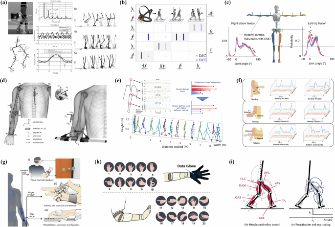 Fig. 2: Fundamental biomechanical features of human motion and their representative applications.