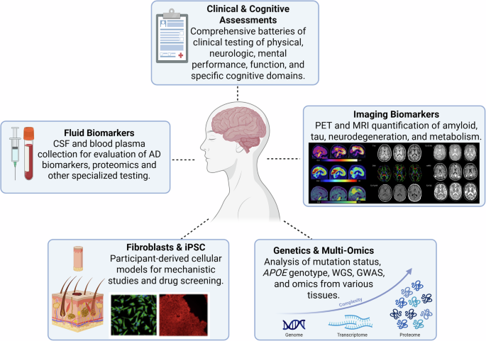 Fig. 5: Overview of DIAN Obs Resource Requests.