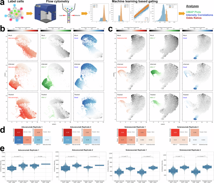 Fig. 2: Evaluating intracellular co-abundance of Aβ aggregates and monomers with HSV-1.