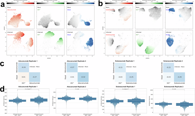 Fig. 3: Evaluating intracellular co-abundance of Aβ aggregates and monomers with IAV.
