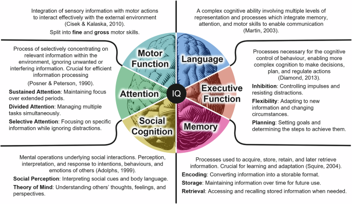 Fig. 1: Diagram summarising the key domains within human cognition.
