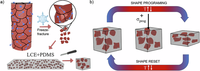 Fig. 4: PDLCE composition and shape-programming.