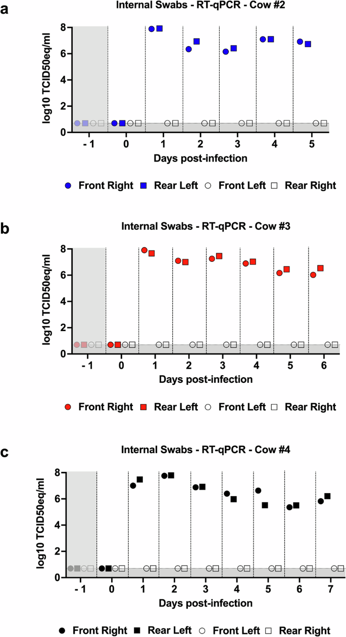 Fig. 3: Internal swabs of infected teats contain high levels of viral RNA.