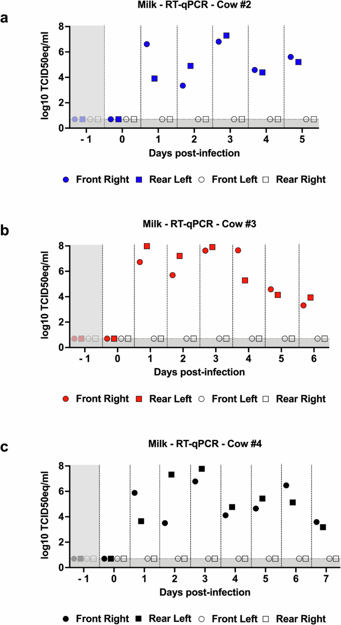 Fig. 4: Milk samples contain high levels of viral RNA.