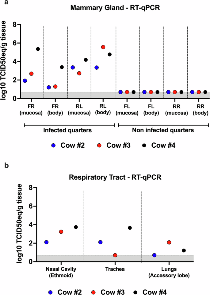 Fig. 5: Viral RNA detection in the tissues.