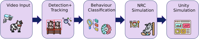 Fig. 1: End-to-end framework for video-based cattle behaviour detection and digital-twin integration.