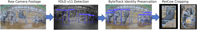 Fig. 2: Video preprocessing and dataset construction workflow.