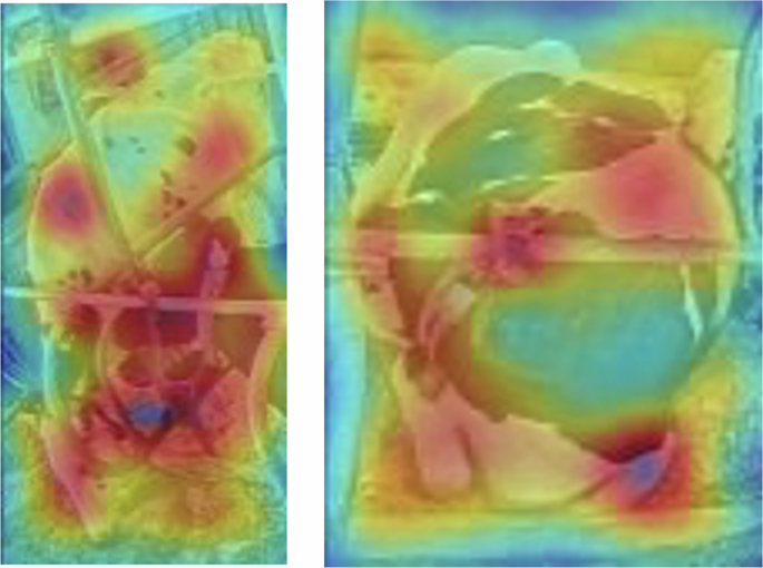 Fig. 6: Spatiotemporal attention maps highlighting regions contributing to behaviour classification.