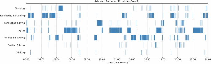 Fig. 7: Digital Twin case study illustrating a 24-h behavioural timeline derived from continuous video perception and its use in behaviour-informed intake estimation for an individual dairy cow.