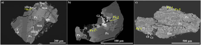 Fig. 1: Back-scattered electron (BSE) images of CE-6 low-Ti basalt clasts with shock features in CE6C0300YJFM001.