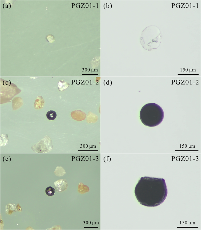 Fig. 4: Optical images of the three spherules that appear similar to microtektites.