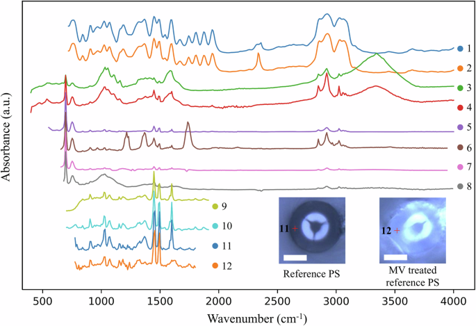 Fig. 1: Visualization of intra-class diversity within the PS category, based on 12 spectra selected from the data collected for this study.