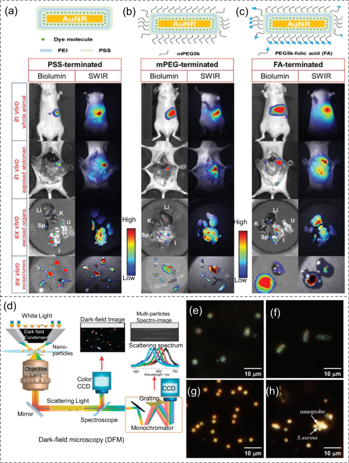 Fig. 16: Plasmon-enhanced in vitro and in vivo optical bioimaging.