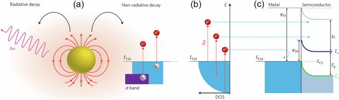 Fig. 4: Hot-electron generation and transfer in nanoparticles and nanorod antennas.