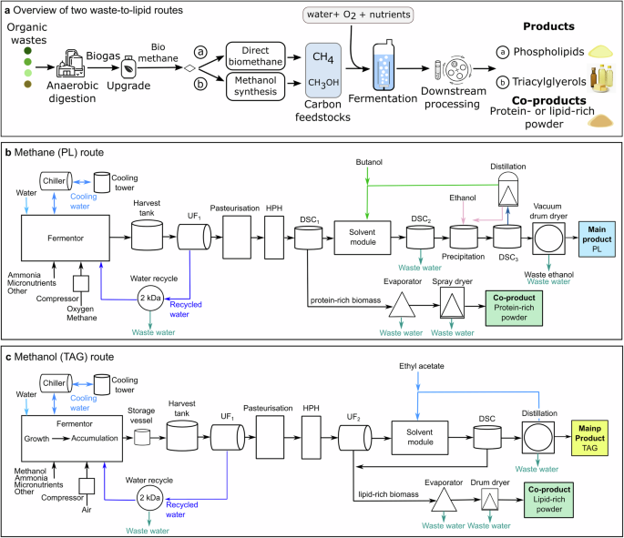 Fig. 2: Overview and process flow diagrams of the waste-to-lipid routes.