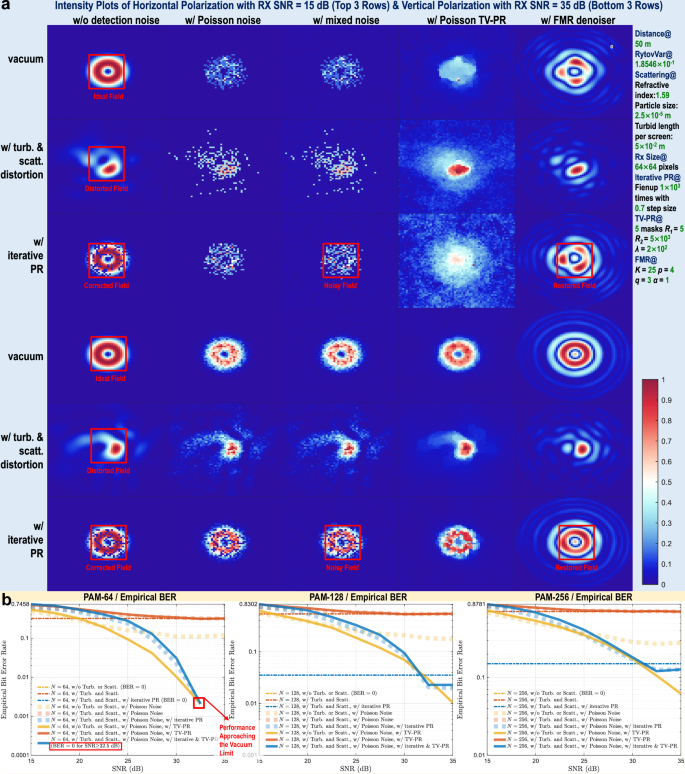 Fig. 5: Validation of field-level DSP.