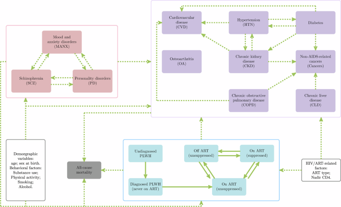 Fig. 1: Schematic representation of the health forecasting microsimulation model for aging PLWH in BC.