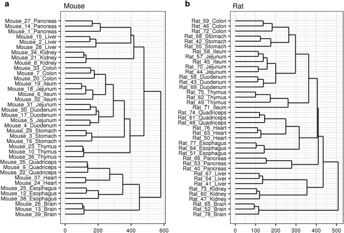 An Rna Seq Atlas Of Gene Expression In Mouse And Rat Normal Tissues Scientific Data