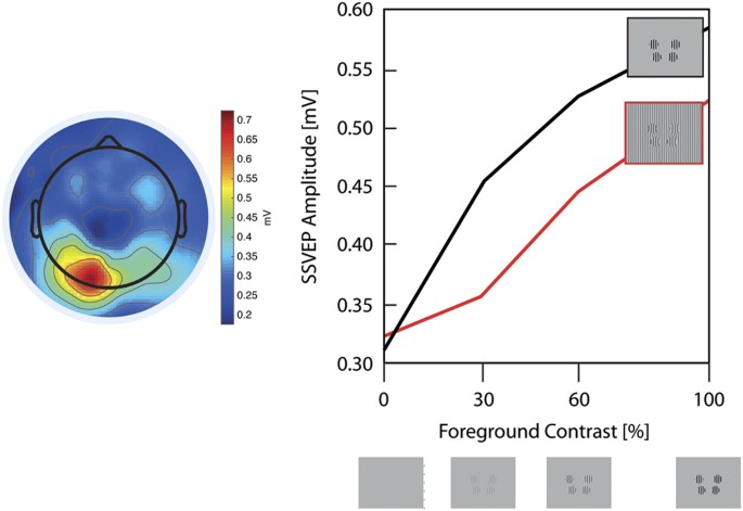 Averaged SSVEP recognition accuracies derived by the CCA, PCCA