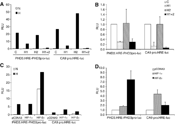 conveyed by post-DNA-binding mechanisms