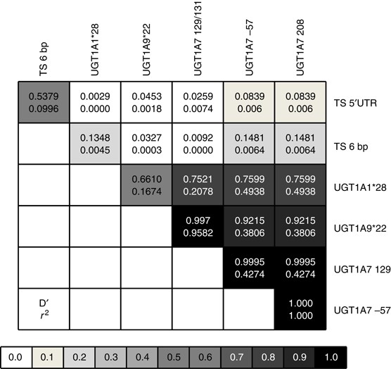 UGT1A and TYMS genetic variants predict toxicity and response of colorectal  cancer patients treated with first-line irinotecan and fluorouracil  combination therapy | British Journal of Cancer