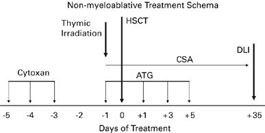 picture Mcafee Johnson Regime bone marrow transplantation