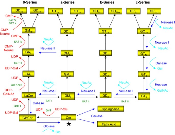 used motorhome for sale